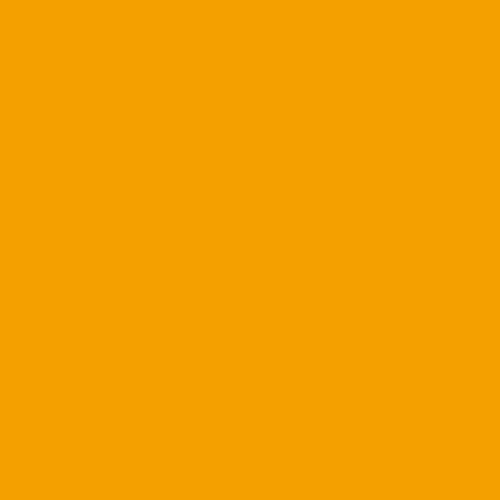 Montana GOLD 400ml