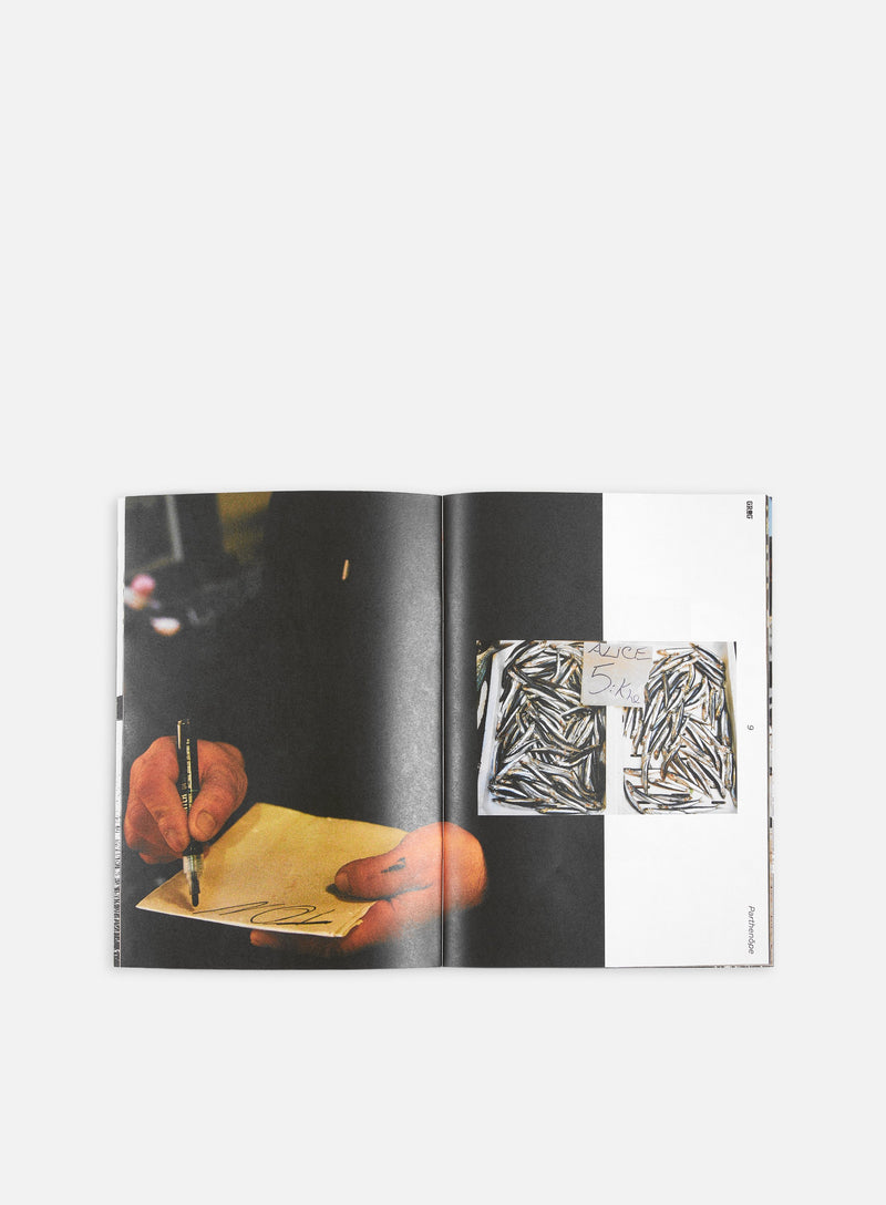 grog-parthenope-summer-set-limited-fanzine-detail